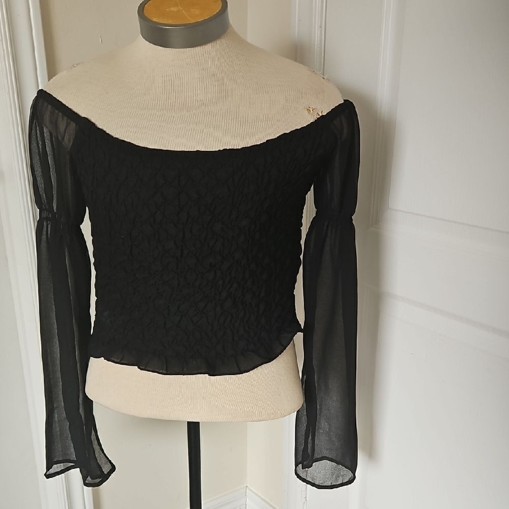 Elegant Black Smocked Sheer Long Sleeve Blouse
